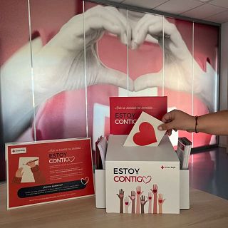 Palencia - Soledad no deseada