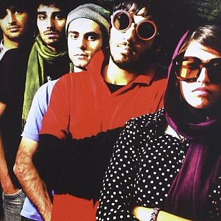 Nadie sabe nada de gatos persas