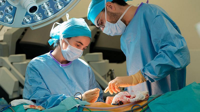 Any rècord en trasplantaments a Catalunya | Anna Bañeres