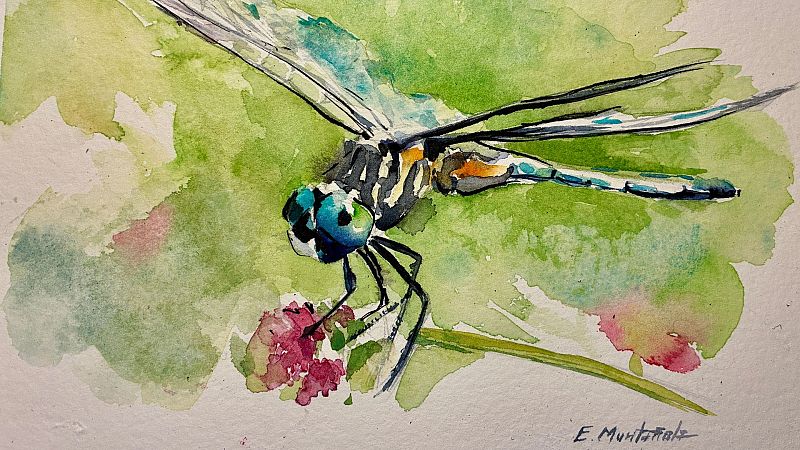 Derivas - Great City - 15/01/26 - Derivas | Escuchar