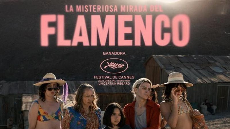 L'Entrellat - Diego C�spedes i "La Misteriosa mirada del flamenco": "Per a L�dia no s�n travestis o transsexuals o marietes, s�n les seves tietes, la seva mare, la seva �via" - L'Entrellat | Escoltar