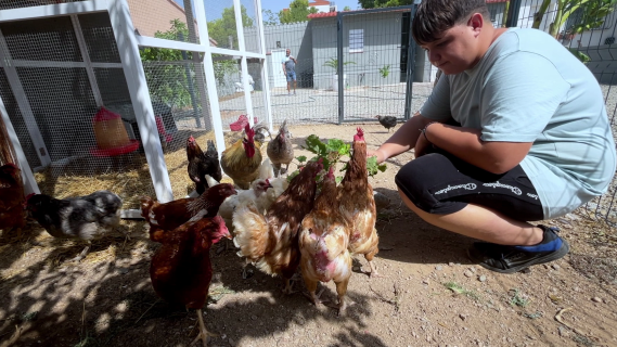 Noies joves que volen ser pageses