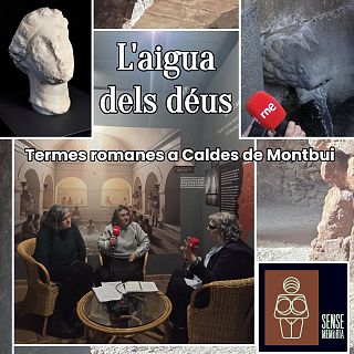 Termes romanes a Caldes de Montbui, l'aigua dels déus