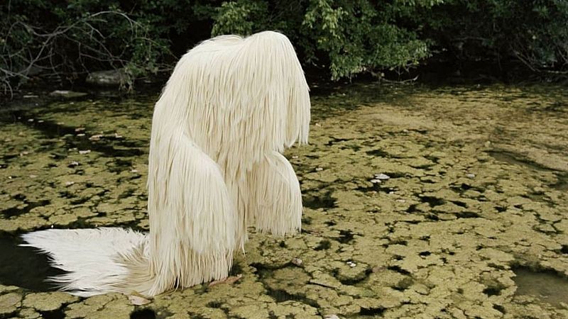 Alguien debería prohibir los domingos por la tarde - Ideas de domingo - 18/01/26 - Alguien debería prohibir los domingos por la tarde | Escuchar
