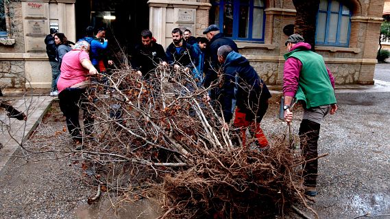 Tractorada a Reus per exigir solucions urgents a la crisi de l’avellana