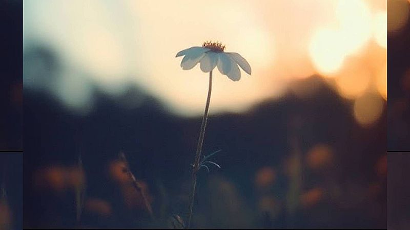 M�sicas posibles - Les coses petites - 31/01/26 - M�sicas posibles | Escuchar ahora