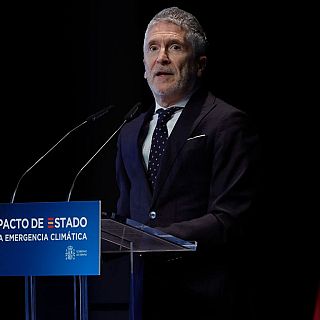 Marlaska: "Estamos ocupados y preocupados por dar la explicación razonable a las víctimas y a la sociedad"