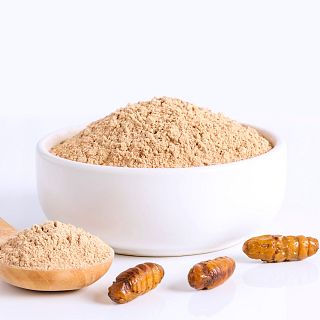 Tarragona - Harinas de insectos en la dieta