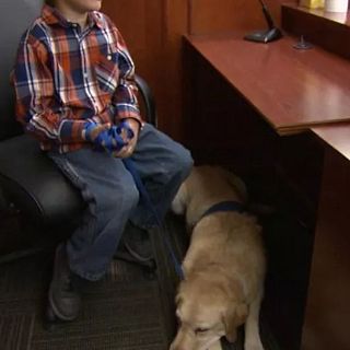 Bilbao - Terapia con perros