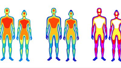 Sensores distintos detectan el frío en piel y órganos