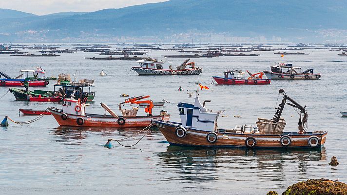 La flota de bajura vuelve a faenar tras las protestas