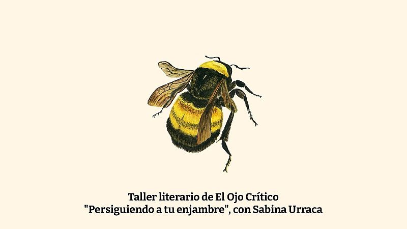 Taller literario 'Persiguiendo a tu enjambre' con Sabina Urraca - 16/01/2025 - Escuchar ahora
