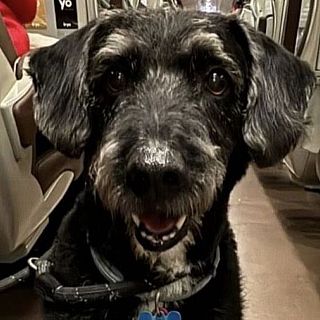 L’actualitat del món animal, amb Paula Calvo