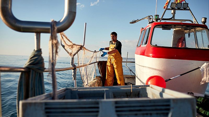 Mundo rural - Compromiso del Gobierno y del sector sobre el reglamento del control pesquero - Escuchar ahora