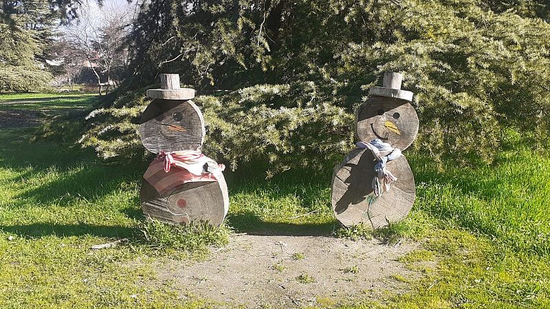 Escribano Palustre - Ave del año - 26/01/26 - Escribano Palustre | Escuchar