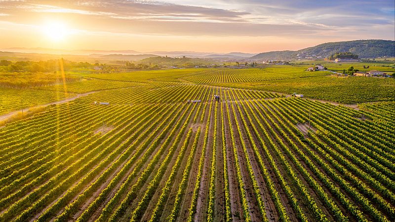 Mundo rural - Inicio de la campaña de la Política Agraria Común 2026 - 26/01/26 - Escuchar ahora