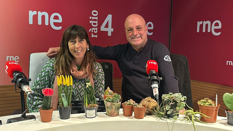 El mat� de R�dio 4 - Busquem la soluci� a la migranya, qu� hem de fer si ens ennuaguem i plantes estranyes - El mat� de R�dio 4 | Escoltar