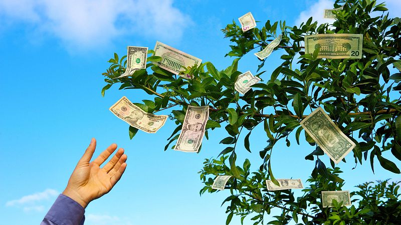 Frases que oímos de niños: “el dinero no crece en los árboles” - Economía de bolsillo | Escuchar