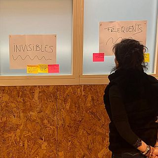 La homosexualitat és present en tots els grups de primats