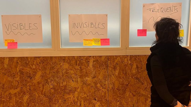 Plurals i Singulars - La homosexualitat és present en tots els grups de primats - Plurals i singulars a Ràdio 4 | Escoltar