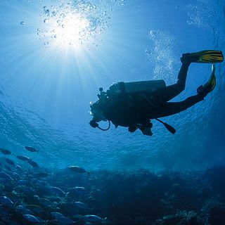 Cambios en la normativa del buceo en España