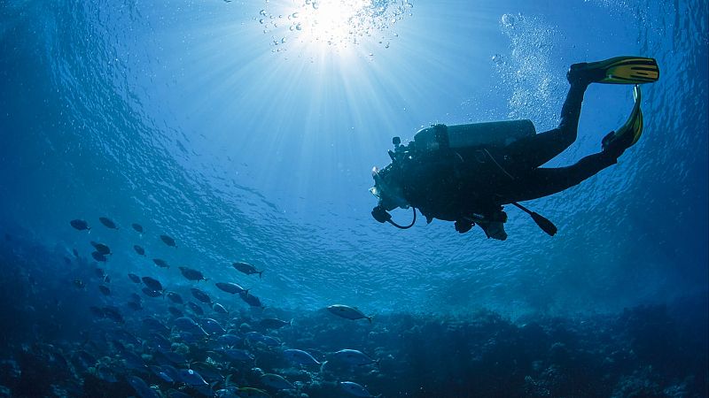 Cambios en la normativa del buceo en España - Españoles en la mar | Escuchar