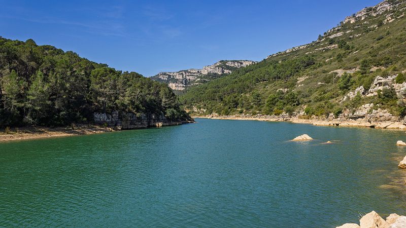 Planeta vivo - Bancarrota hídrica global - 28/01/26 - Escuchar ahora