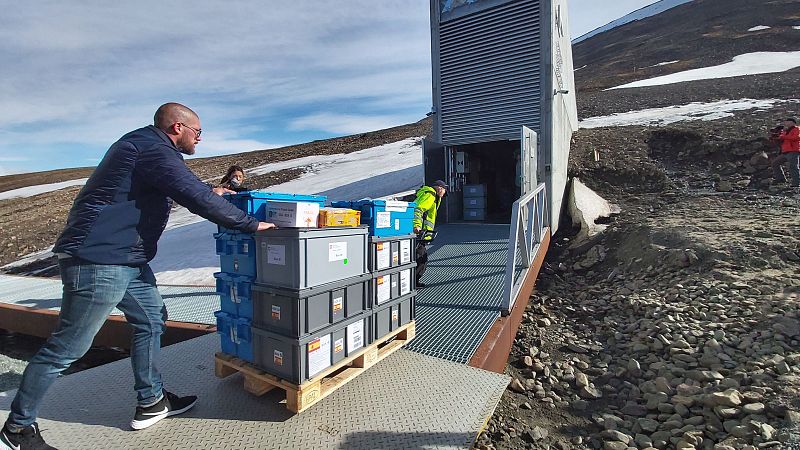 ¿Qué es un banco de semillas? Visitamos el Centro de Recursos Fitogenéticos de Alcalá de Henares - escuchar ahora