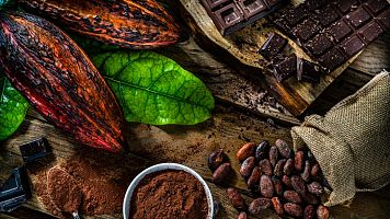 Sergi Codonyer i la xocolata neta produ�da a l'�frica: "Els recursos es destinen als nostres agricultors"