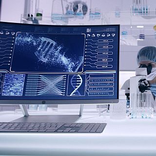 Quan el c�ncer deixa de ser invisible: una nova via per combatre la met�stasi participada per l'Institut de Recerca de l'Hospital del Mar