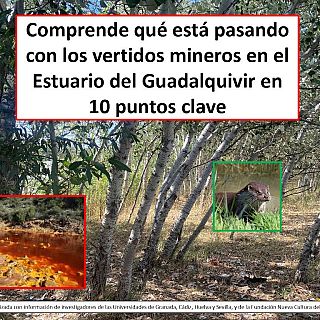 Vertidos en el Guadalquivir
