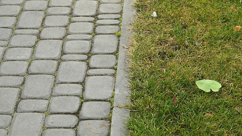 Sostenible y renovable en Radio 5 - Espacios verdes y saludables - 31/01/26 - Escuchar ahora