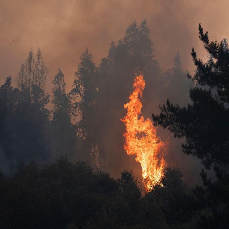 Cinco Continentes - Los incendios asolan Chile - Escuchar ahora