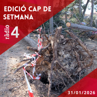 Edici� Cap de Setmana 31/01/2026