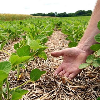 Alerta! Tots tenim substàncies tòxiques al cos i el 80% són d'un pesticida prohibit
