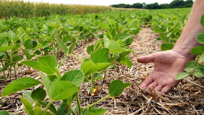 El mat� de R�dio 4 - Alerta! Tots tenim subst�ncies t�xiques al cos i el 80% s�n d'un pesticida prohibit - El mat� de R�dio 4 | Escoltar