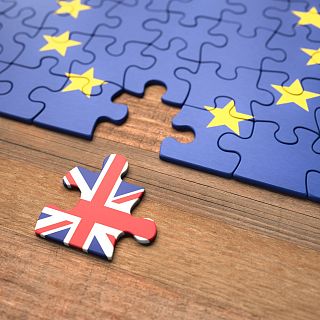 Euroescepticismo, Brexit y políticas medioambientales