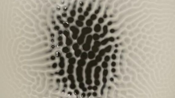 Art que es fon i memòria que incomoda: nova temporada a La Capella