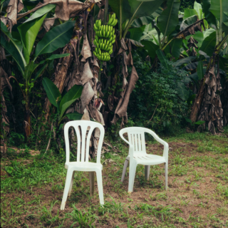 Los Grammy Anglo: se habla español