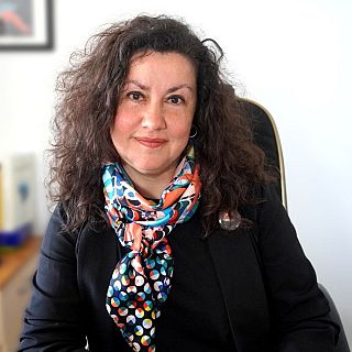 Iraide Ibarretxe: Lingüística Cognitiva
