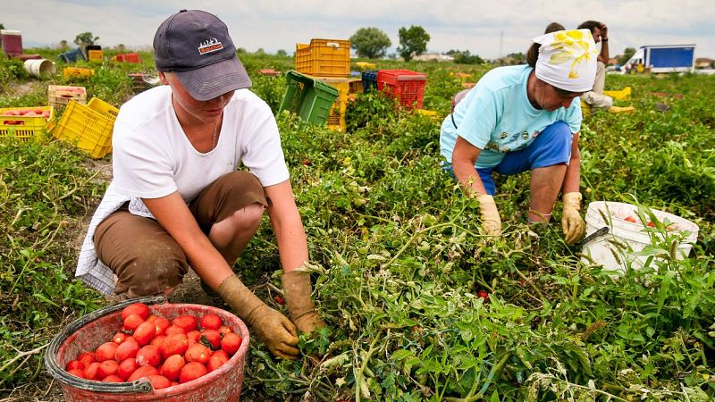 Fin de mes - Inmigración, economía y salarios - Escuchar ahora