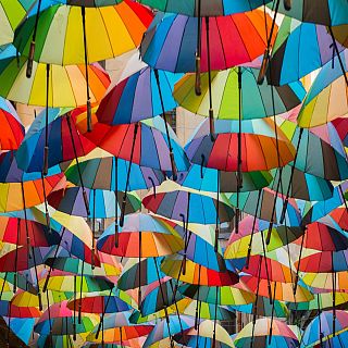 Canciones de muchos colores