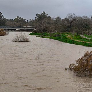 Garc�a Pelayo, alcaldesa de Jerez de la Frontera: "No descartamos m�s desalojos"