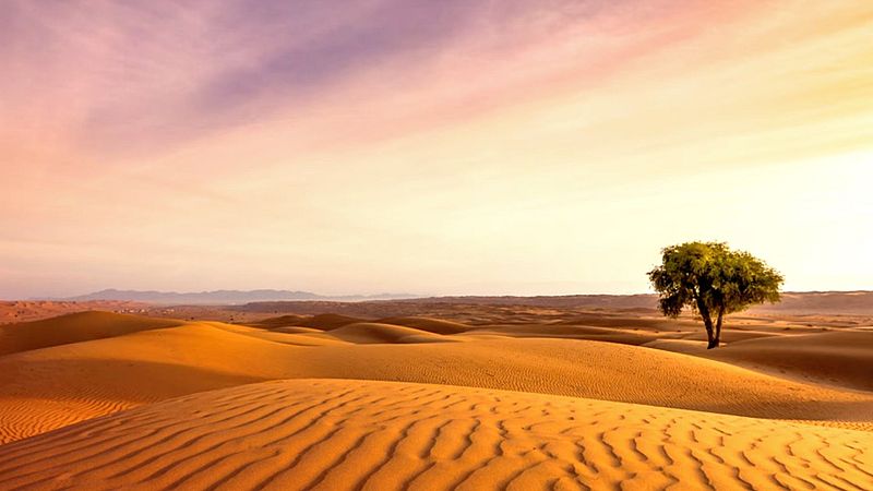 Músicas posibles - Estuaire - 14/02/2026 - Músicas posibles | Escuchar ahora