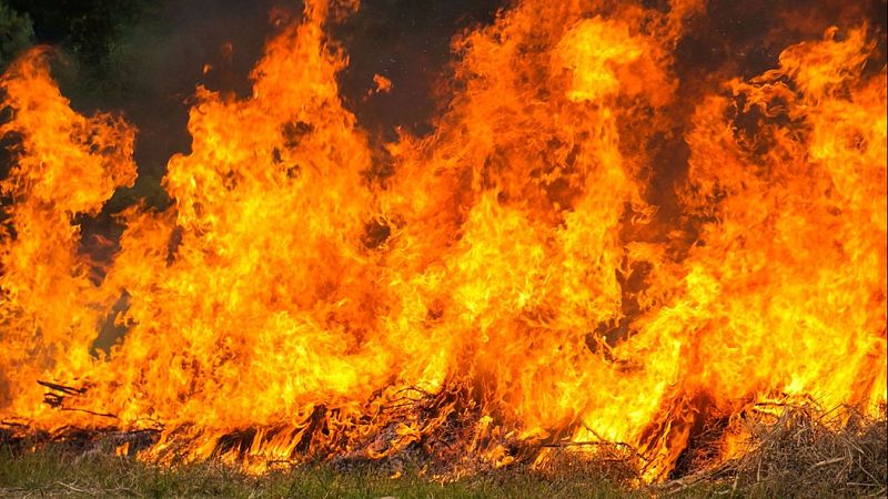 El Govern activa ajuts per evitar grans incendis forestals