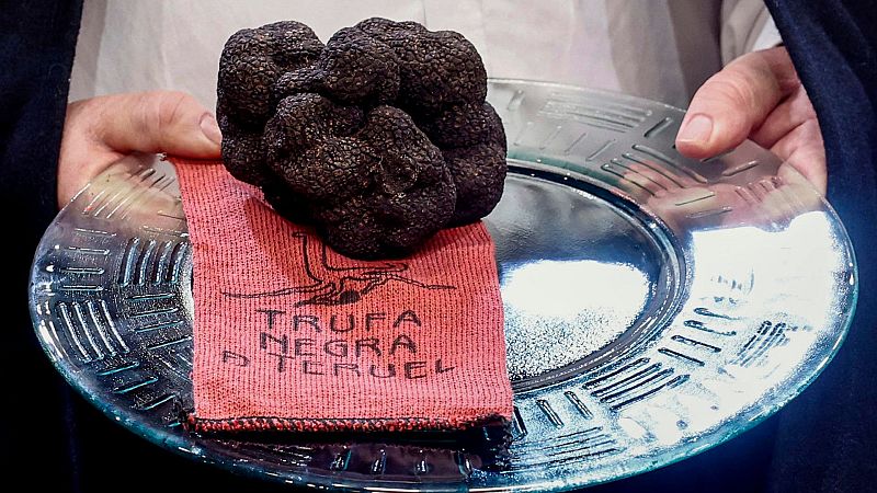 10.000 lugares para viajar con Ángela Gonzalo - Sabores del mundo y despensa local se dan cita en Madrid Fusión - 01/02/26 - Escuchar ahora