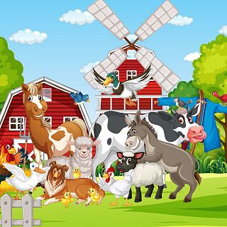 Juan en la feria del ganado