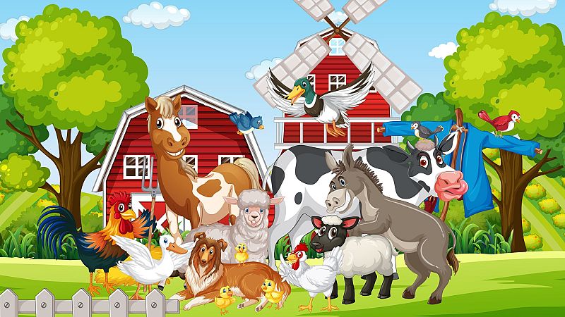 Contando cuentos en Radio 5 - Juan en la feria del ganado - 08/02/26 - Escuchar ahora