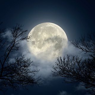 La Luna. Sol en la oscuridad