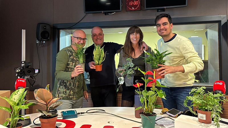 El mat� de R�dio 4: El mat� de R�dio 4 - Lo Pau de Ponts, els arrossos m�s coneguts de Lleida i plantes que netegen l?aire! - El mat� de R�dio 4 | Escoltar